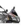 BULLE APRILIA TUONO V4 RR 15-17 / Puig Racing