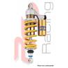 Amortisseur HP2 1200 MEGAMOTO - OHLINS BM 689