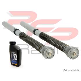 Kit cartouche APRILIA RSV4 FACTORY APRC - OHLINS FGK215