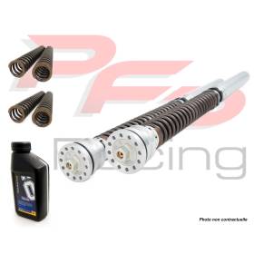 Kit cartouche DUCATI 1199 PANIGALE R - OHLINS FKR 114