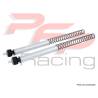 Kit ressort fourche KAWASAKI ER6N 15-16 / OHLINS FSK107