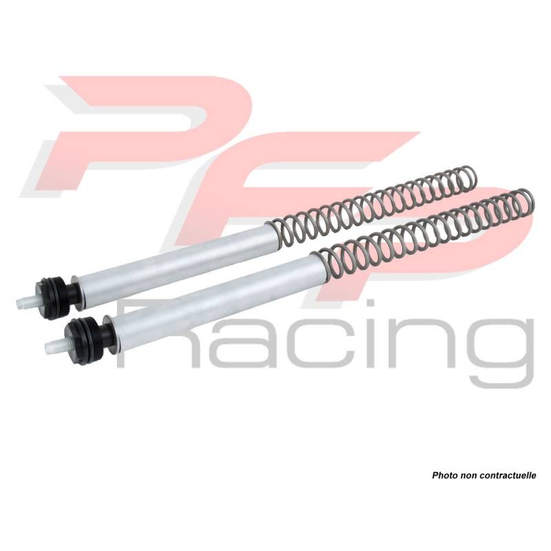 Kit ressort fourche KAWASAKI NINJA 250R - OHLINS FSK 101