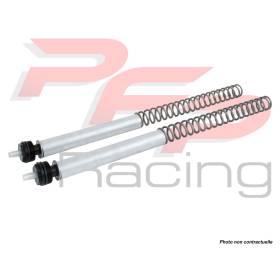 Kit ressort fourche KAWASAKI Z650 - OHLINS FSK 125