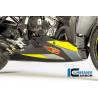 SABOT MOTEUR CARBONE BMW S1000XR / WUNDERLICH