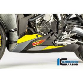 SABOT MOTEUR CARBONE BMW S1000XR / WUNDERLICH