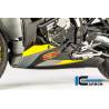 SABOT MOTEUR CARBONE BMW S1000XR / WUNDERLICH