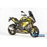 SABOT MOTEUR CARBONE BMW S1000XR / WUNDERLICH