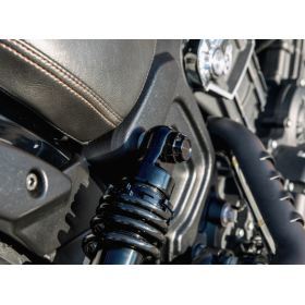 Kit Bouchons d'écrous d'axes de Suspensions Indian Scout - ABM Wunderkind