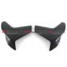 FLANCS EXTERIEURS CARBONE DUCATI MULTISTRADA 1200 - 1260 - FULLSIX CARBON