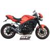 Silencieux Speed Triple 1050 07-10 / SC Project bas Carbone