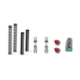 KIT FOURCHE SERIE SE-KE ET PISTON HONDA CBR600RR 2005-2006 / MATRIS