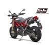 Silencieux carbone Aprilia Dorsoduro 900 - SC Project A19-117C