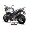 Silencieux carbone BMW F800R 2017- SC Project B34-02C