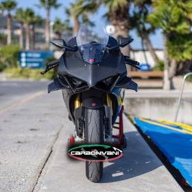 WINGLETS DE CARENAGE EN CARBONE PANIGALE V4 - CARBONVANI