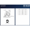 COMMANDES RECULÉES INDIAN FTR1200 - GILLES TOOLING