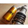 Amortisseurs Arrières TRIUMPH SPEED TWIN 1200 - OHLINS TR923