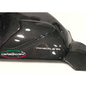 PROTECTION MONOBRAS CARBONE DUCATI PANIGALE V4 - CARBONVANI CARBON