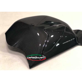 PROTECTION MONOBRAS CARBONE DUCATI PANIGALE V4 - CARBONVANI CARBON