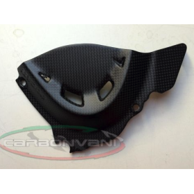 CACHE PSB CARBONE DUCATI MONSTER 821 14-16 / CARBONVANI