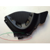 CACHE PSB CARBONE DUCATI MONSTER 821 14-16 / CARBONVANI