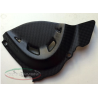 CACHE PSB CARBONE DUCATI MONSTER 821 14-16 / CARBONVANI