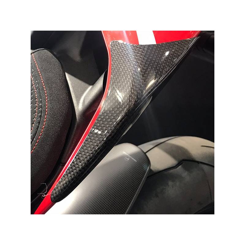 Sliders de coque Panigale V2-V4 - Streetfighter V4 / RG Racing TLS0043C