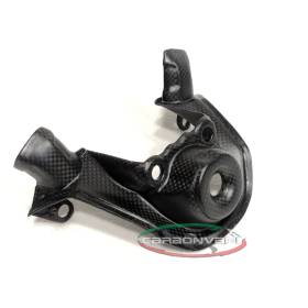 CACHE NEIMAN CARBONE DUCATI STREETFIGHTER V4 - CARBONVANI