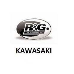 SUPPORT DE PLAQUE KAWASAKI - RG Racing