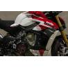 Ducati Streetfighter V4 2020- / Winglets CNC Racing ZW005Y 