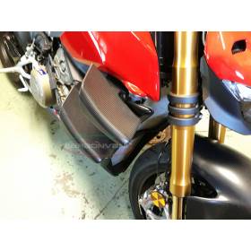 KIT WINGLETS CARBONE DUCATI STREETFIGHTER V4 - CARBONVANI