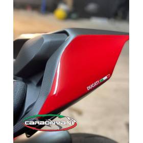 QUEUE ARRIERE CARBONE DUCATI STREETFIGHTER V4 - CARBONVANI