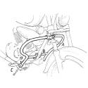 Protection moteur Suzuki VL 125/250 Intruder (1999-2007)