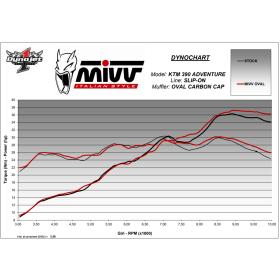 Silencieux carbone KTM 390 Adventure 2020-2021 / Oval Mivv KT.024.L3C
