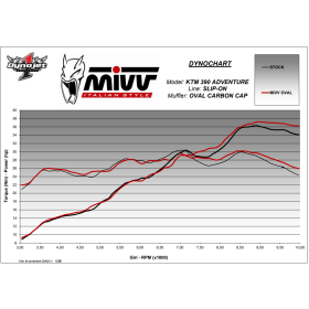 Silencieux Titane KTM 390 Adventure 2020-2021 / Mivv KT.024.L4C