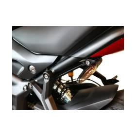 Support de plaque Triumph Trident 660 - Access Design