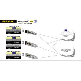 Silencieux Kawasaki Versys 650 / Race-Tech Arrow 71854