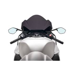 Bulle Suzuki GSX-R1300 Hayabusa 2021- / Puig 21138F