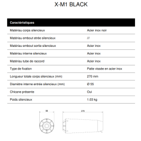 Silencieux homologué noir BMW F900R / X-M1 MIVV B.038.LC4B