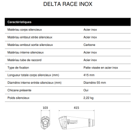 Silencieux Euro5 Inox BMW F900XR / Delta Race Mivv B.037.LDRX