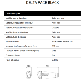 Silencieux Noir Euro5 BMW F900XR / Delta Race Mivv B.037.LDRB