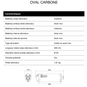 Silencieux Carbone Euro5 BMW F900XR / Oval Mivv B.037.LEC