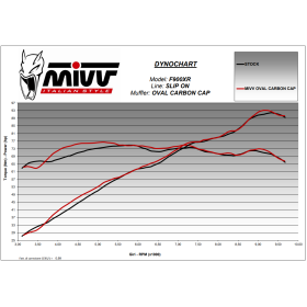 Silencieux Titane Euro5 BMW F900XR / Oval Mivv B.037.LNC