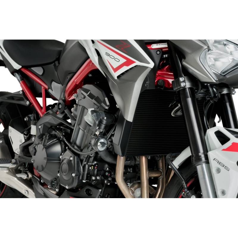 Protection moteur Kawasaki Z900 / S19 Puig 21240N