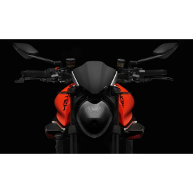 Ailerons latéraux Ducati Monster 937 - Rizoma