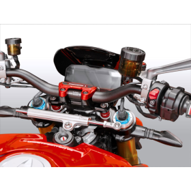 Bulle noire Ducati Streetfighter V4 2020- / WRS DU015NO