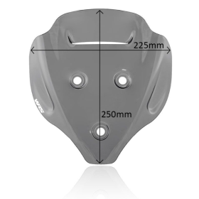 Bulle fumée Ducati Streetfighter V4 2020- / WRS DU015FS