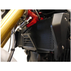 Grille de radiateur BMW R1250R - Evotech Performance PRN012256-04