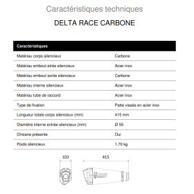 Silencieux carbone Honda CB750 Hornet - Delta Race Mivv H.085.LDRC