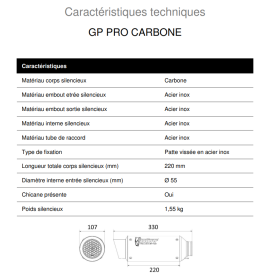 Silencieux carbone Honda CB750 Hornet - GP Pro Mivv H.085.L2P