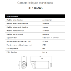 Silencieux Inox Noir Honda CB750 Hornet / S1-R Mivv H.085.LR1XB